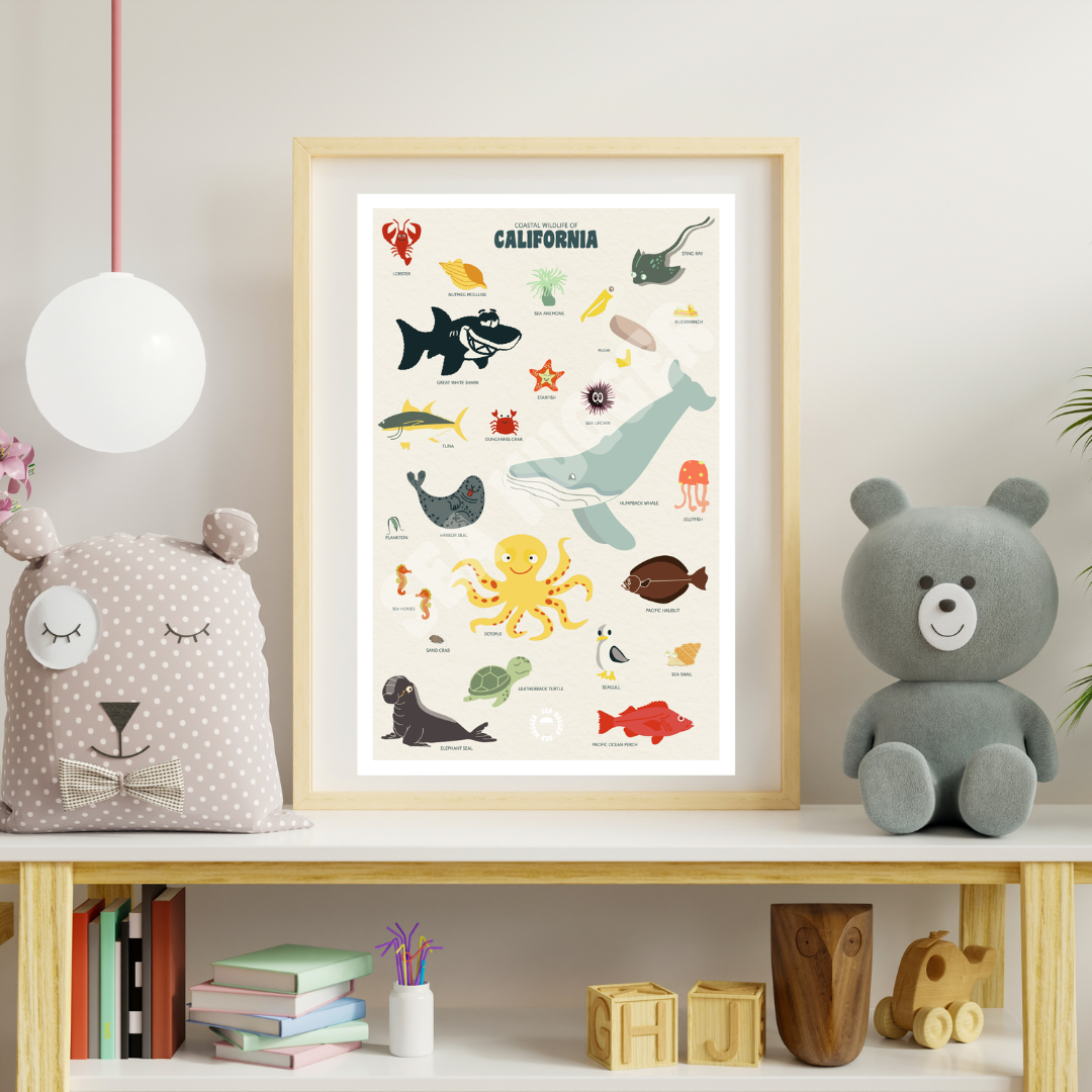 California Coastal Wildlife Poster (PRINTED) — SEA HUGGER